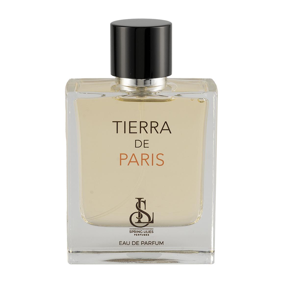 ادو پرفیوم مردانه مدل Tierra De Paris حجم 100 میلی لیتر با پکیج Soft